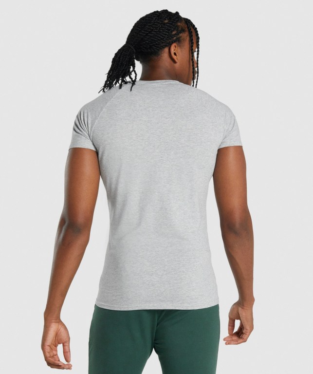 Light Grey Gymshark Critical 2.0 Men's T Shirts | US-56XKHMQ