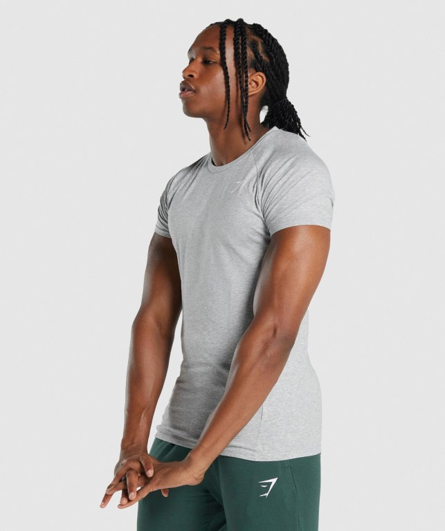 Light Grey Gymshark Critical 2.0 Men's T Shirts | US-56XKHMQ