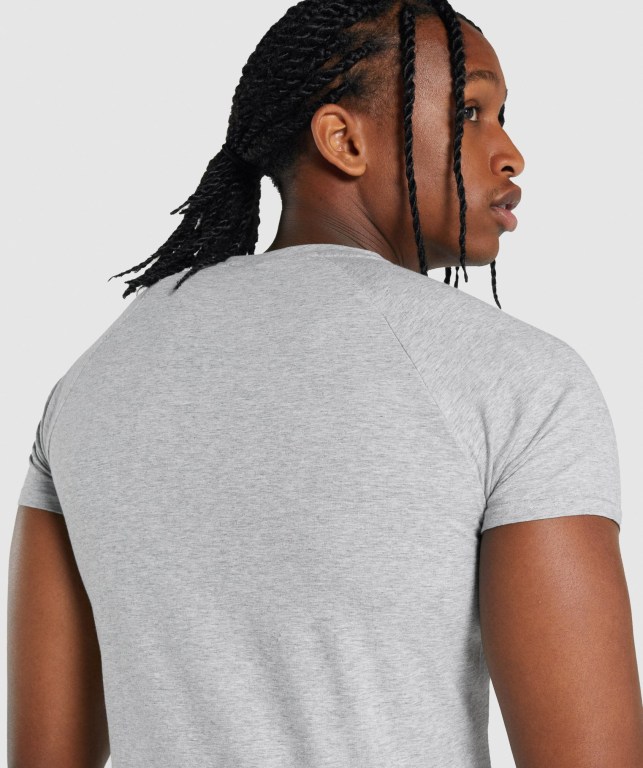 Light Grey Gymshark Critical 2.0 Men's T Shirts | US-56XKHMQ