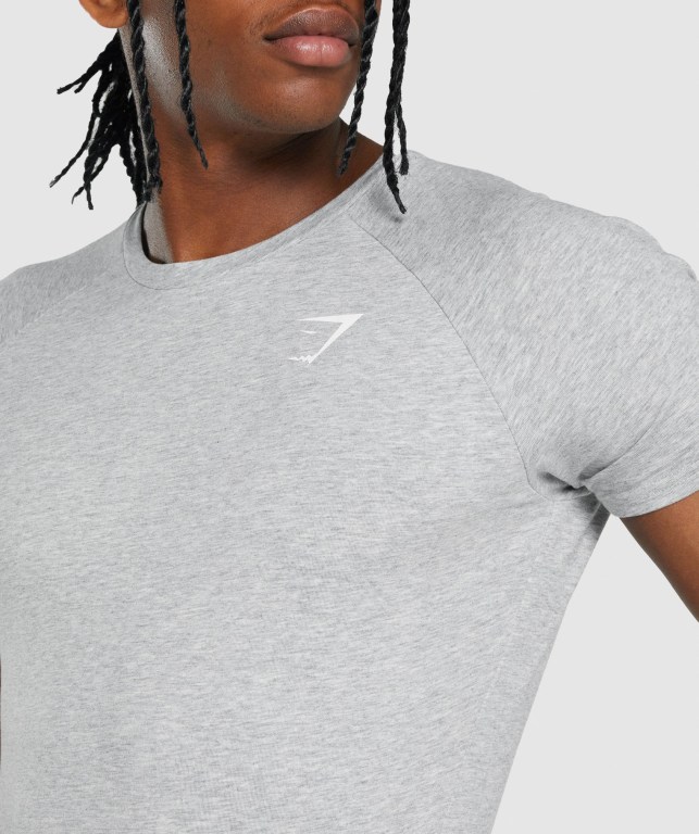 Light Grey Gymshark Critical 2.0 Men's T Shirts | US-56XKHMQ