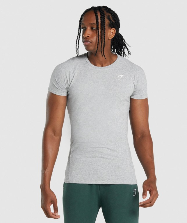 Light Grey Gymshark Critical 2.0 Men\'s T Shirts | US-56XKHMQ