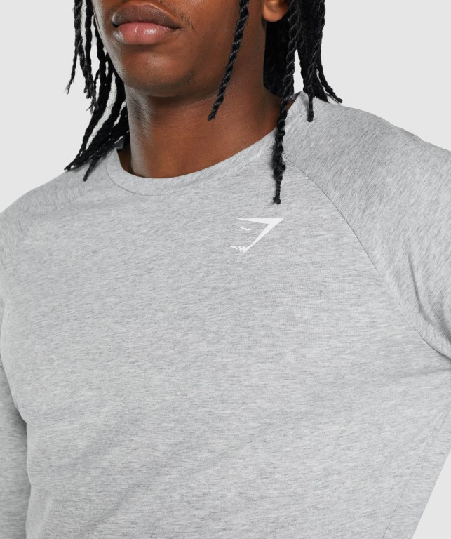 Light Grey Gymshark Critical 2.0 Men's T Shirts | US-74RHKXM