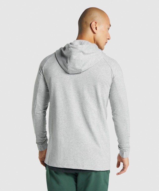 Light Grey Gymshark Critical 2.0 Zip Up Men's Hoodies | US-63KTCNF