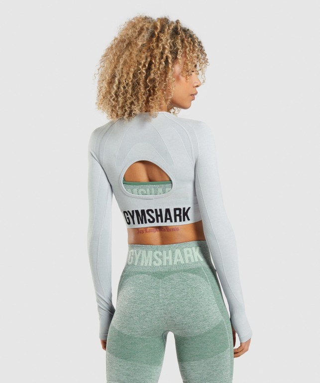 Light Grey Gymshark Flex Sports Crop Top Women's T Shirts | US-42ODLTS