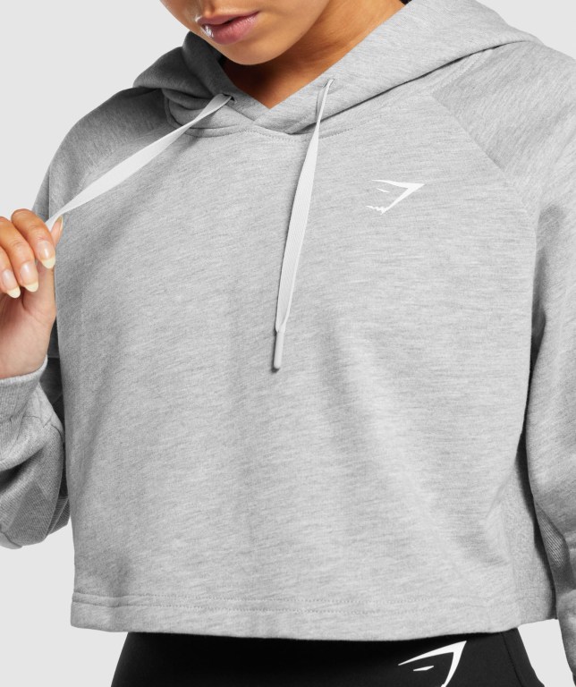 Light Grey Gymshark Training Cropped Women's Hoodies | US-91WZMDI