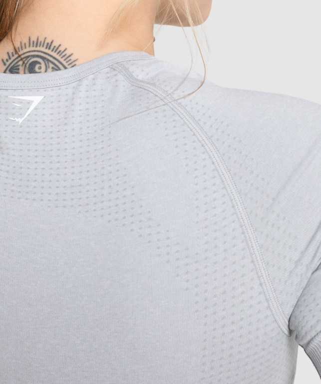 Light Grey Gymshark Vital Seamless 2.0 Women's T Shirts | US-86TSVPZ