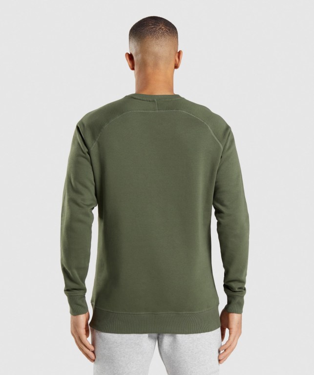 Olive Gymshark Crest Sweatshirt Men's Hoodies | US-92FEHZQ