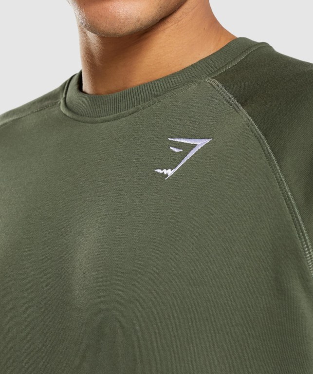 Olive Gymshark Crest Sweatshirt Men's Hoodies | US-92FEHZQ