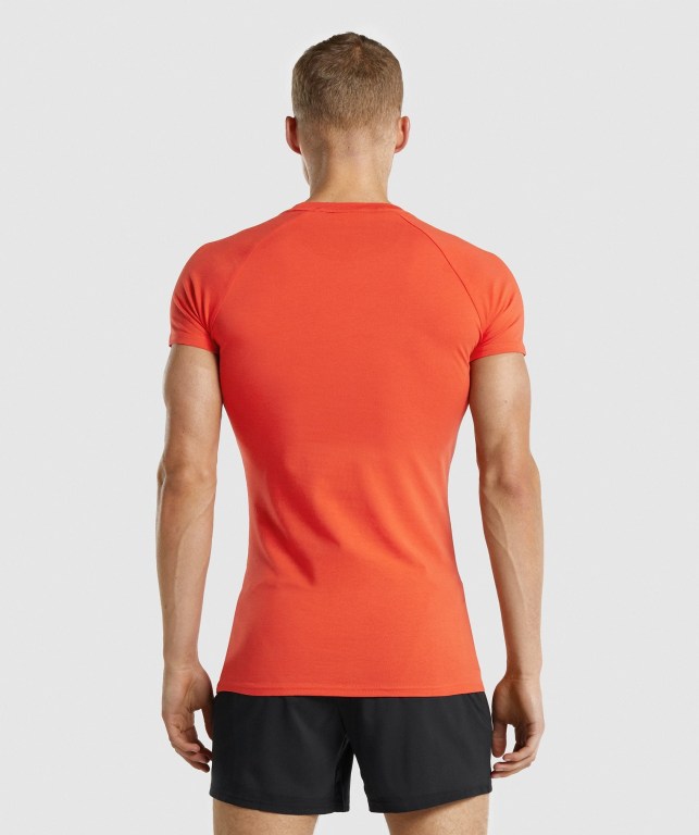 Orange Gymshark Apollo Men's T Shirts | US-57NEUSA