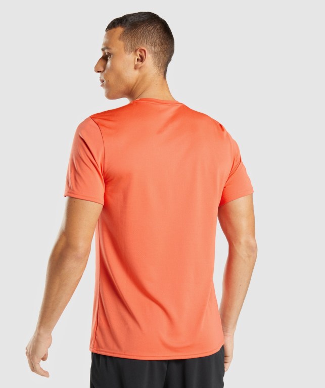 Orange Gymshark Arrival Men's T Shirts | US-52XKGCO