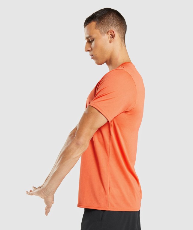 Orange Gymshark Arrival Men's T Shirts | US-52XKGCO