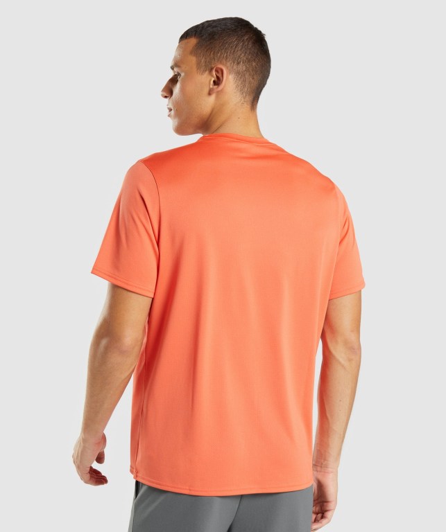 Orange Gymshark Arrival Regular Fit Men's T Shirts | US-72MXGCZ