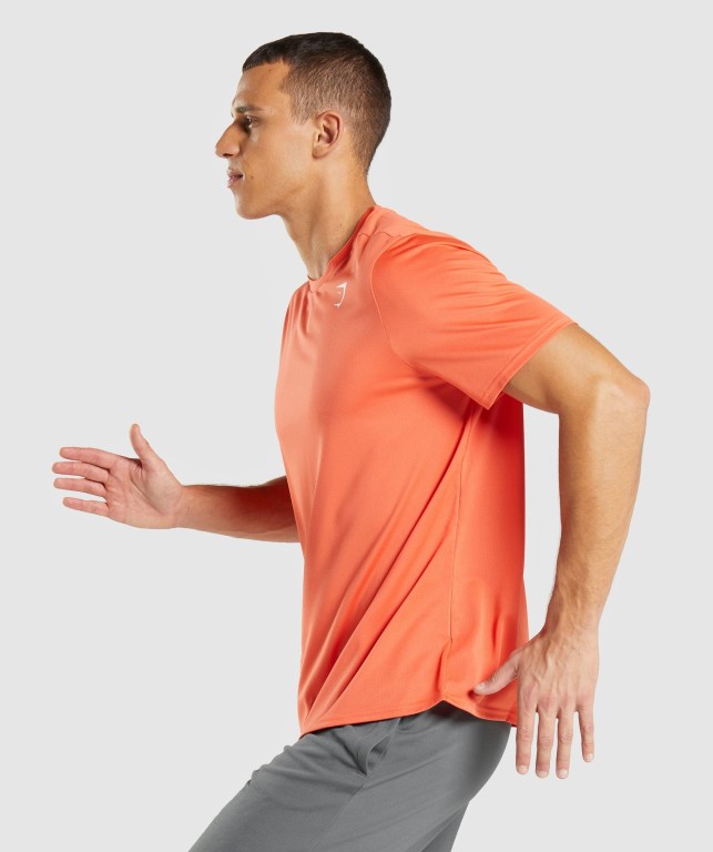 Orange Gymshark Arrival Regular Fit Men's T Shirts | US-72MXGCZ