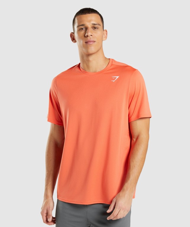 Orange Gymshark Arrival Regular Fit Men\'s T Shirts | US-72MXGCZ