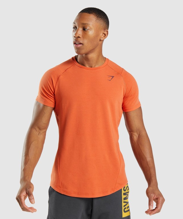 Orange Gymshark Bold Men's T Shirts | US-51WFEHP