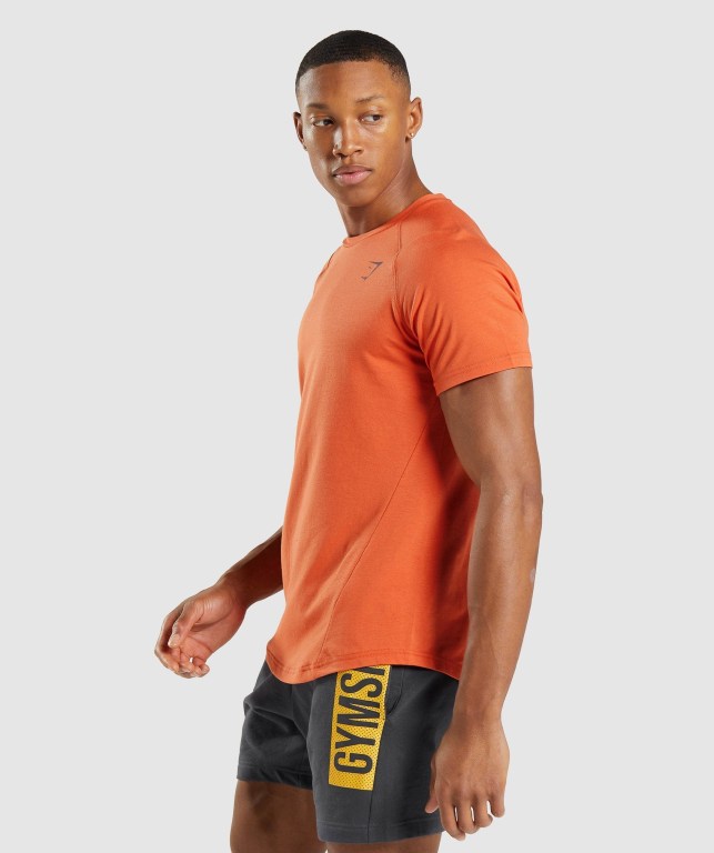 Orange Gymshark Bold Men's T Shirts | US-51WFEHP