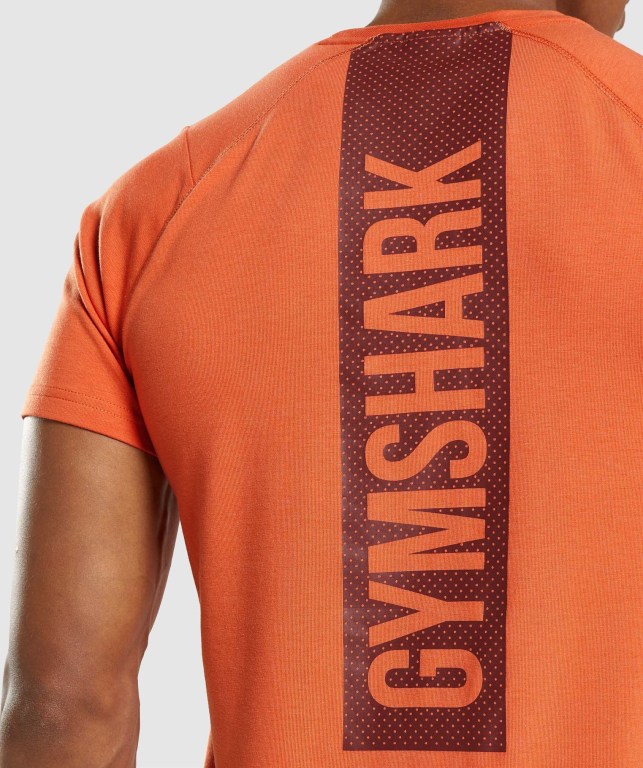 Orange Gymshark Bold Men's T Shirts | US-51WFEHP