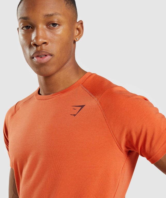 Orange Gymshark Bold Men's T Shirts | US-51WFEHP