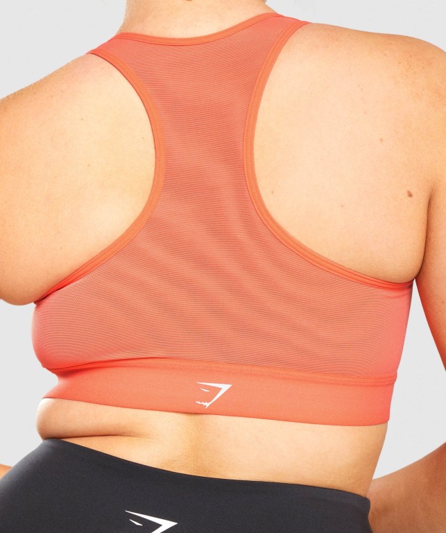 Orange Gymshark Lightweight High Support Training Women's Sports Bra | US-85EGBZI