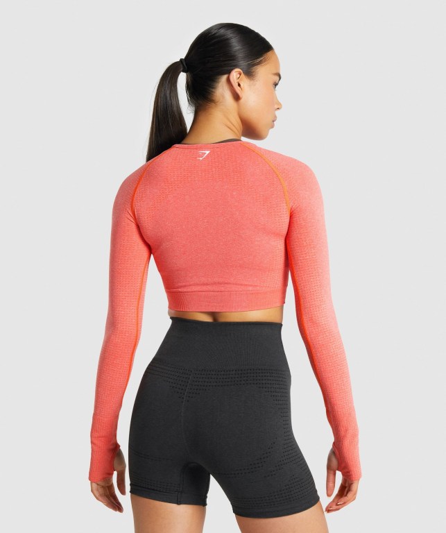 Orange Gymshark Vital Seamless 2.0 Crop Top Women's Sweatshirts | US-67LCRDZ