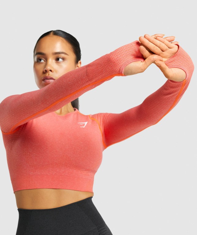 Orange Gymshark Vital Seamless 2.0 Crop Top Women's Sweatshirts | US-67LCRDZ