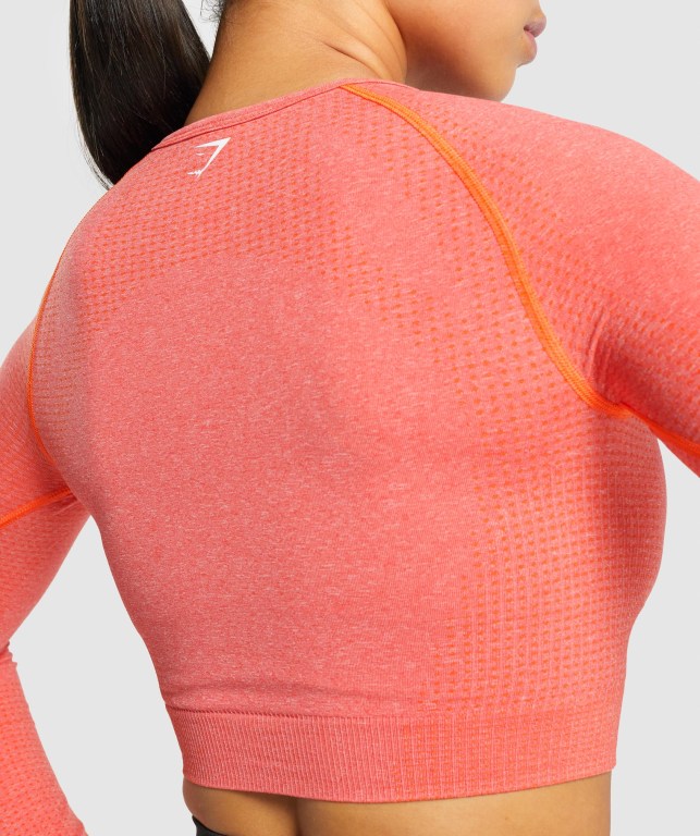 Orange Gymshark Vital Seamless 2.0 Crop Top Women's Sweatshirts | US-67LCRDZ