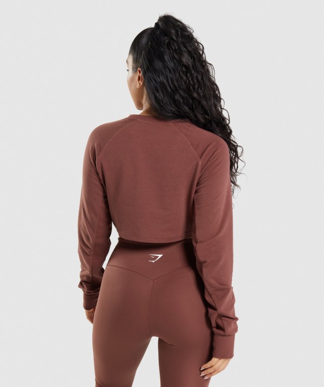 Pink Brown Gymshark Training Cropped Sweater Women's Hoodies | US-93ECLGX