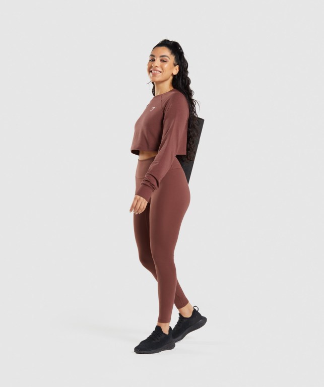 Pink Brown Gymshark Training Cropped Sweater Women's Hoodies | US-93ECLGX