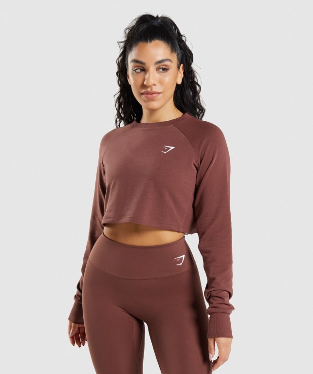 Pink Brown Gymshark Training Cropped Sweater Women\'s Hoodies | US-93ECLGX