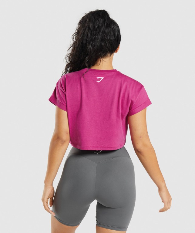 Pink Gymshark Fraction Crop Top Women's T Shirts | US-12XGKYA