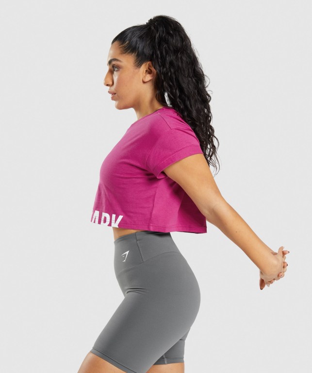 Pink Gymshark Fraction Crop Top Women's T Shirts | US-12XGKYA