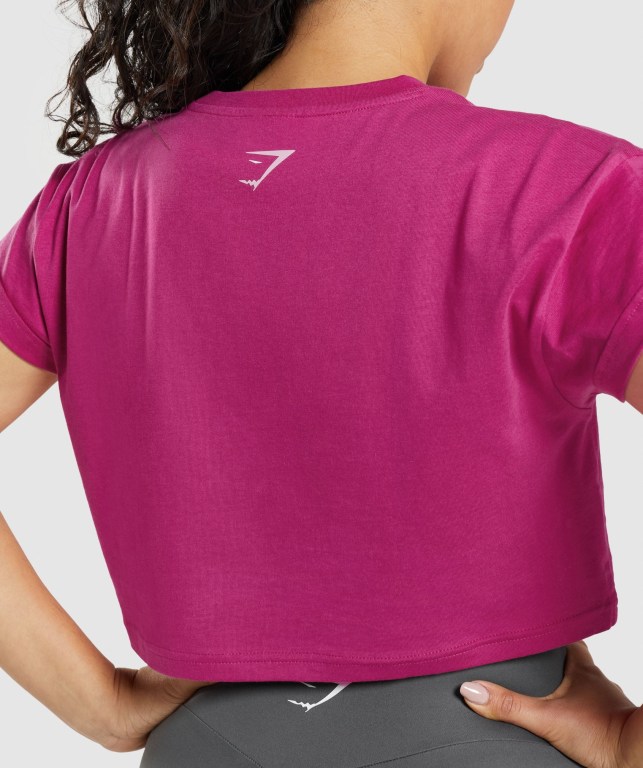 Pink Gymshark Fraction Crop Top Women's T Shirts | US-12XGKYA