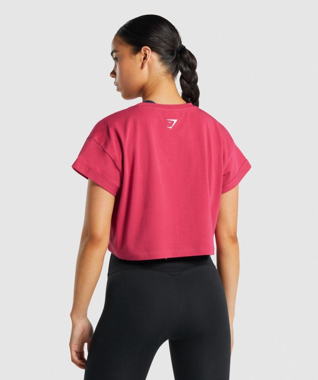 Pink Gymshark Fraction Crop Top Women's T Shirts | US-82CYSZG