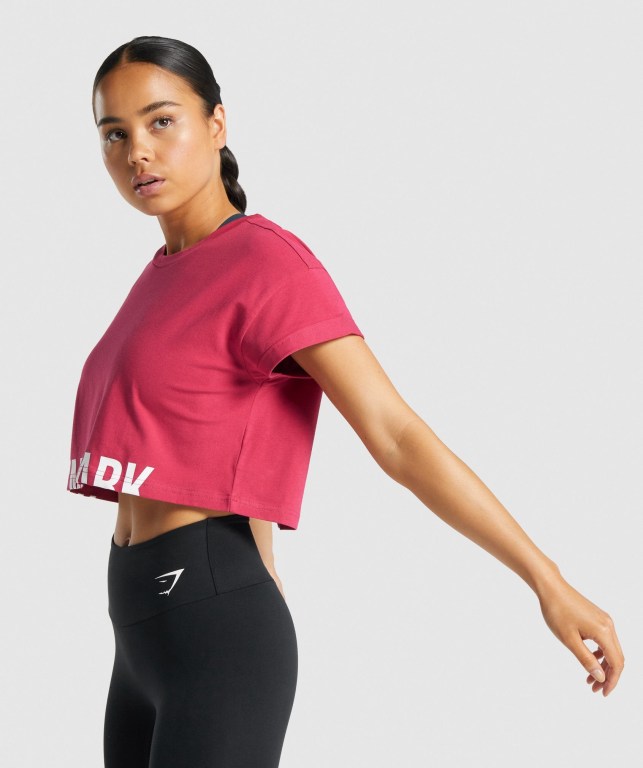 Pink Gymshark Fraction Crop Top Women's T Shirts | US-82CYSZG