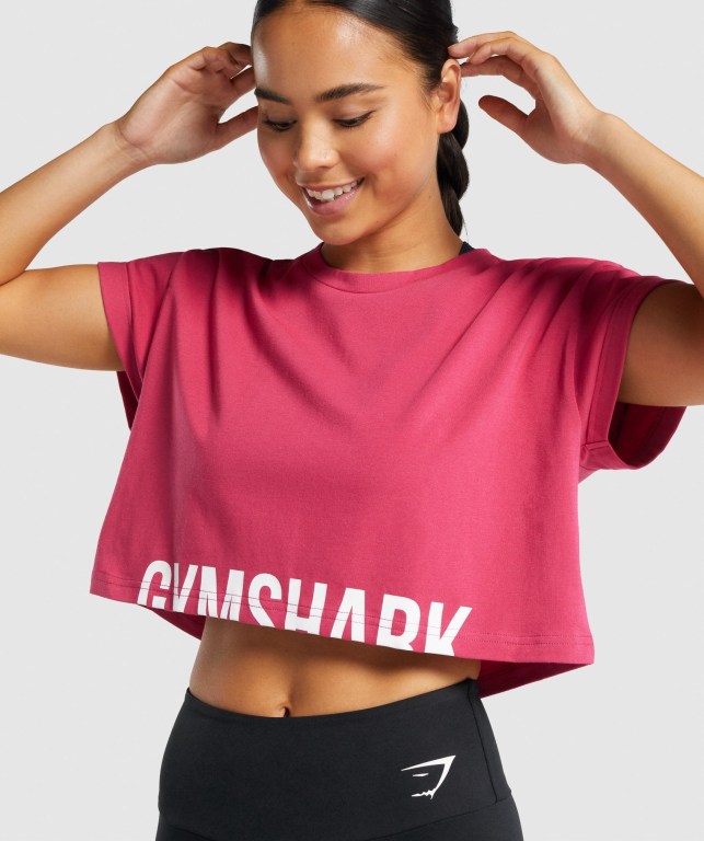 Pink Gymshark Fraction Crop Top Women's T Shirts | US-82CYSZG