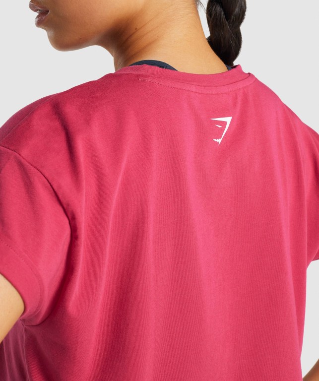 Pink Gymshark Fraction Crop Top Women's T Shirts | US-82CYSZG