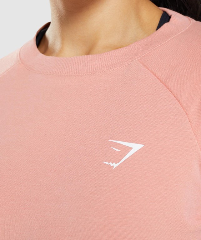 Pink Gymshark Training Cropped Sweater Women's Hoodies | US-42MZHWE