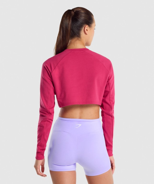 Pink Gymshark Training Cropped Sweater Women's Hoodies | US-72ORFWV