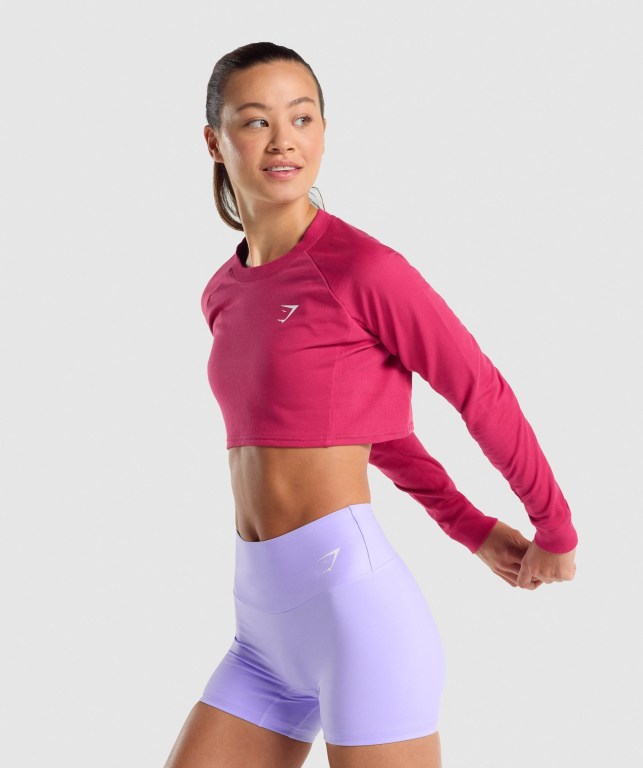 Pink Gymshark Training Cropped Sweater Women's Hoodies | US-72ORFWV