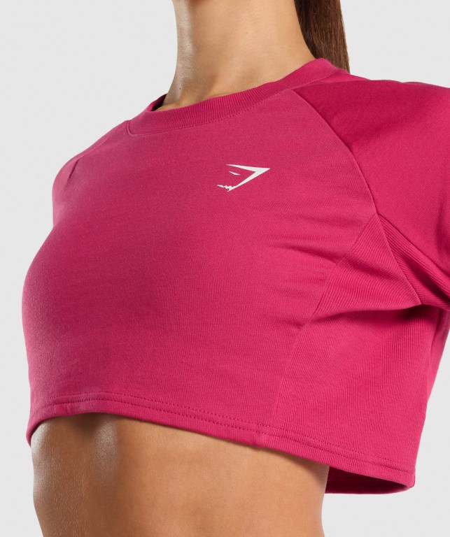 Pink Gymshark Training Cropped Sweater Women's Hoodies | US-72ORFWV