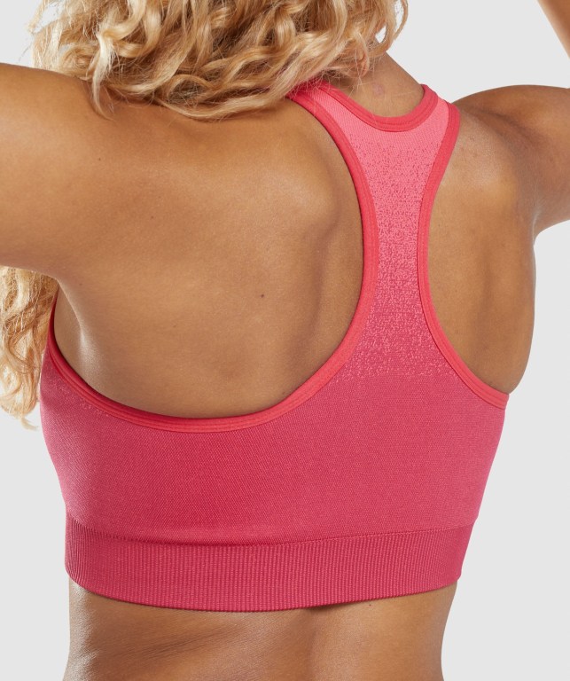 Pink / Red Gymshark Adapt Ombre Seamless Women's Sports Bra | US-80YXFOG