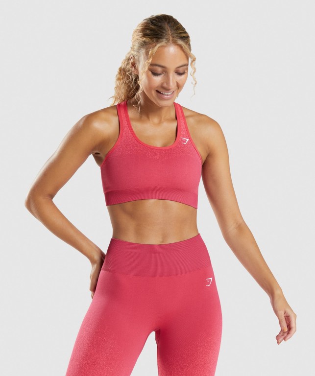 Pink / Red Gymshark Adapt Ombre Seamless Women\'s Sports Bra | US-80YXFOG