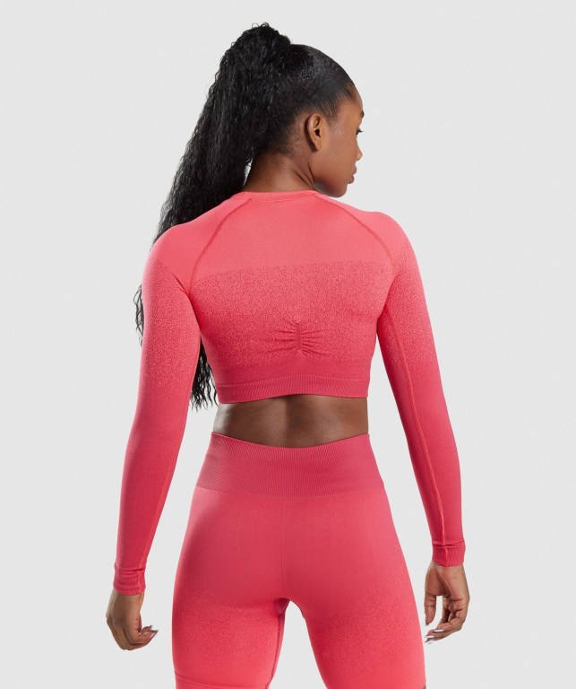 Pink / Red Gymshark Adapt Ombre Seamless Crop Top Women's Sweatshirts | US-92WIJGU