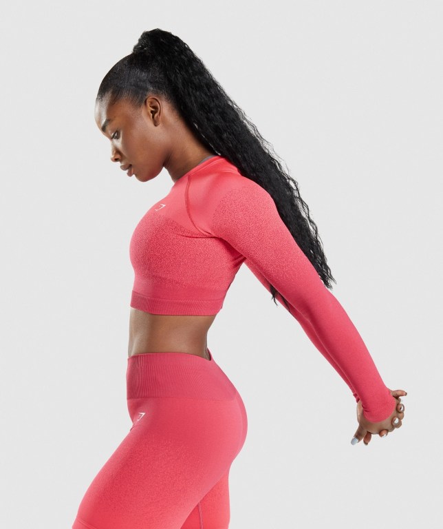 Pink / Red Gymshark Adapt Ombre Seamless Crop Top Women's Sweatshirts | US-92WIJGU