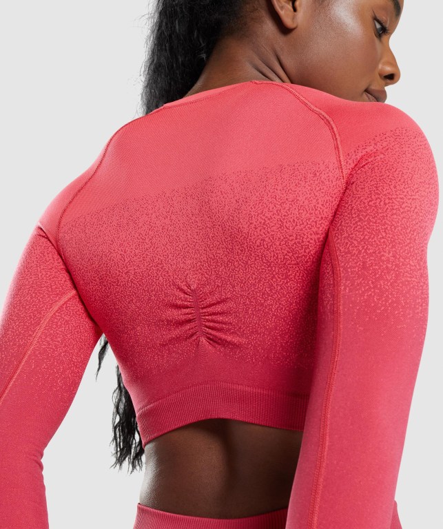 Pink / Red Gymshark Adapt Ombre Seamless Crop Top Women's Sweatshirts | US-92WIJGU