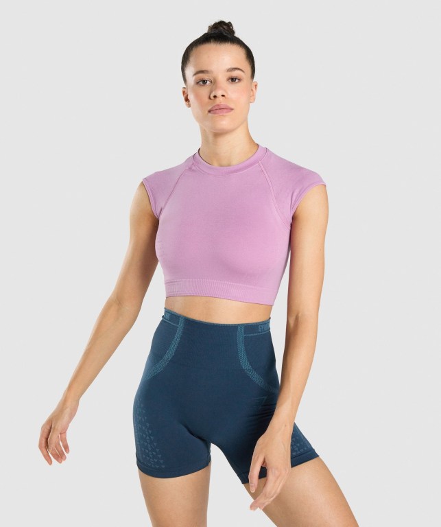 Purple / Light Purple Gymshark Apex Seamless Crop Top Women\'s T Shirts | US-40GJZCE