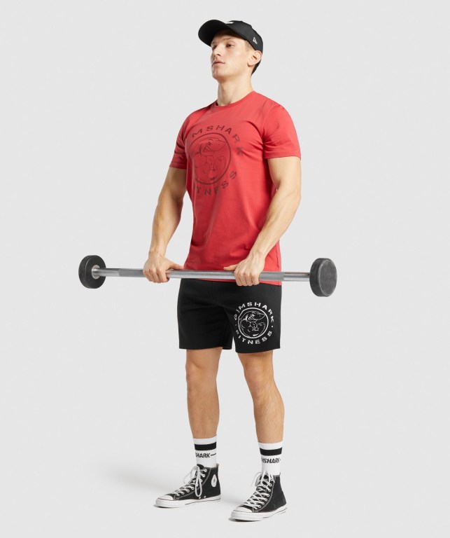 Red Gymshark Legacy Men's T Shirts | US-05QOLUV