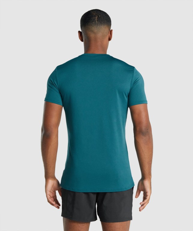 Turquoise Gymshark Arrival Graphic Men's T Shirts | US-90DTHMI