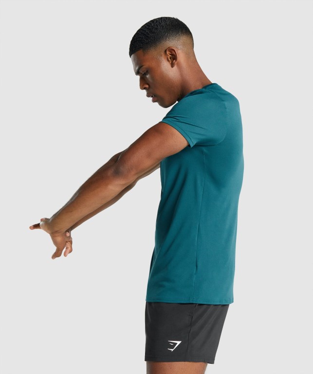 Turquoise Gymshark Arrival Graphic Men's T Shirts | US-90DTHMI