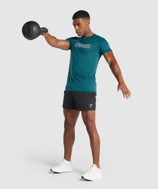 Turquoise Gymshark Arrival Graphic Men's T Shirts | US-90DTHMI